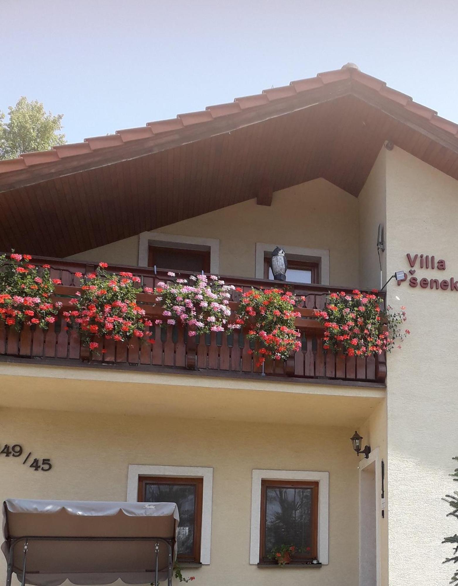 Villa Psenek Banka Экстерьер фото
